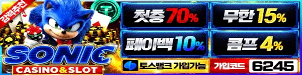 소닉